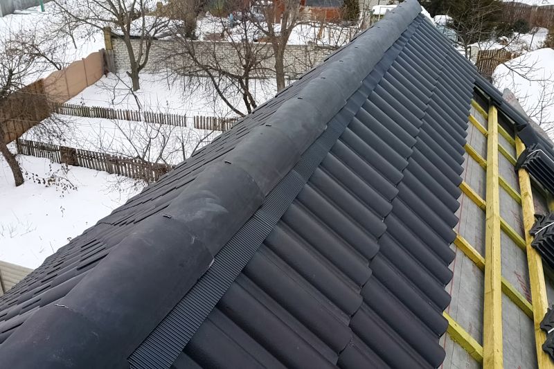 Installing Roof Vents in Spring
